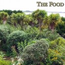 Temperate Climate Permaculture Food Forest