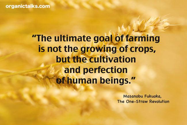 The Cultivation Of Human Beings 