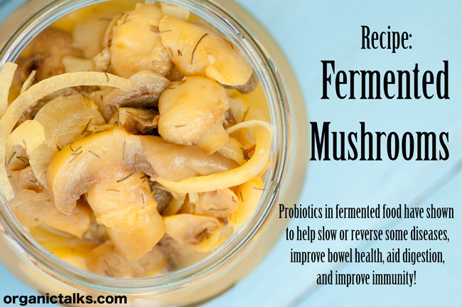 Fermented mushrooms