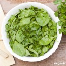 Spinach salad ideas: Spinach – parsley salad (green queen)