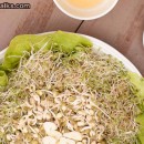 Salad Recipe: Moong and Alfalfa Sprouts Salad